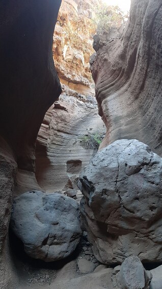 Picture 6 for Activity Maspalomas: Barranco de las Vacas, Caves, Farmhouse Tour