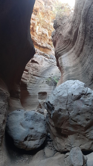 Picture 6 for Activity Maspalomas: Barranco de las Vacas, Caves, Farmhouse Tour