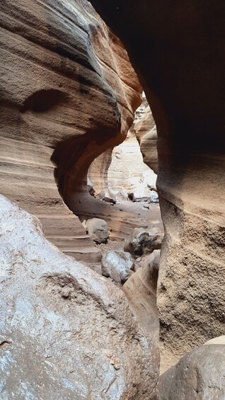 Picture 11 for Activity Maspalomas: Barranco de las Vacas, Caves, Farmhouse Tour