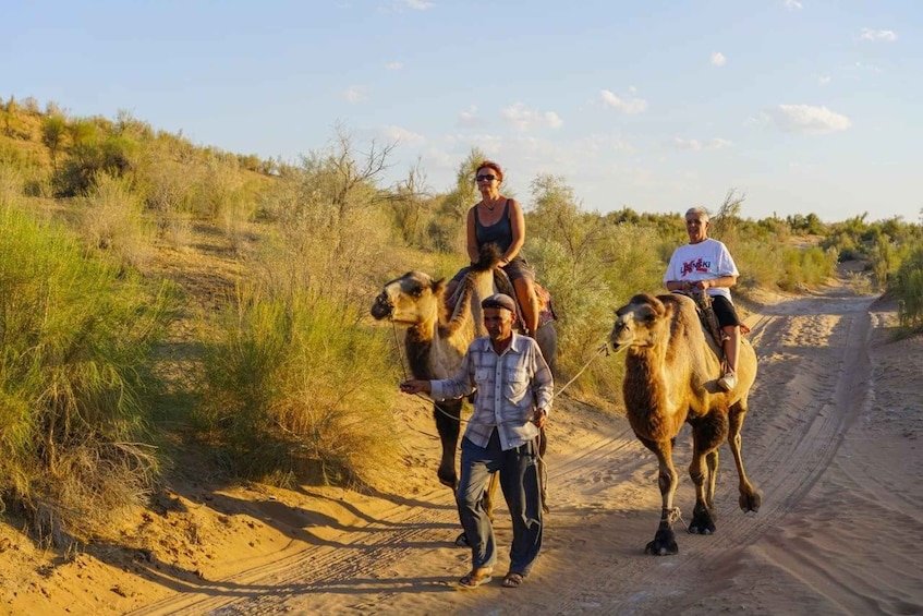 From Bukhara: 2-Day Desert Yurt Camp Tour