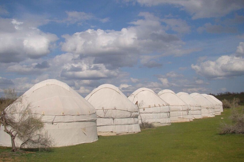 Picture 4 for Activity From Bukhara: 2-Day Desert Yurt Camp Tour