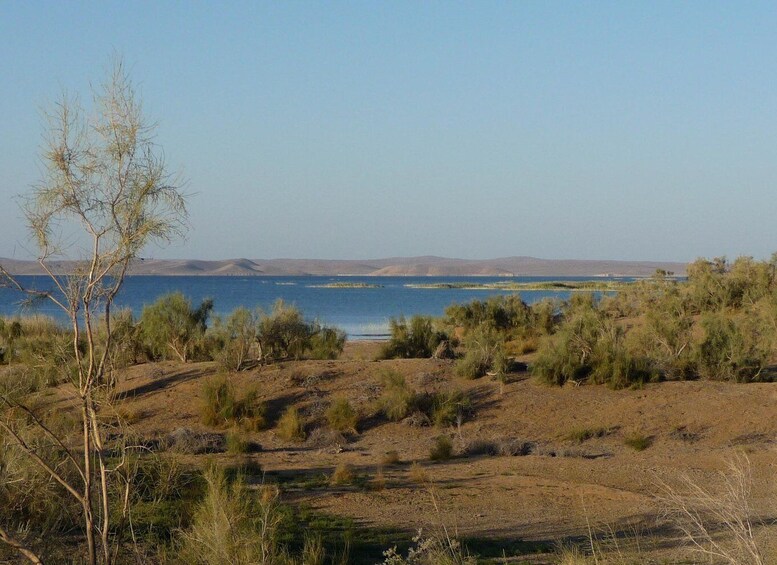 Picture 2 for Activity From Bukhara: 2-Day Desert Yurt Camp Tour