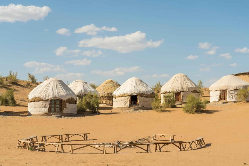Picture 1 for Activity From Bukhara: 2-Day Desert Yurt Camp Tour