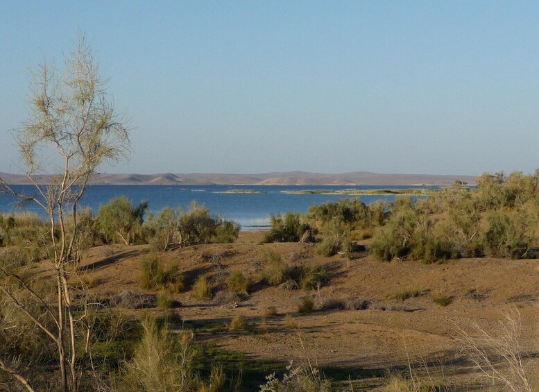 Picture 2 for Activity From Bukhara: 2-Day Desert Yurt Camp Tour