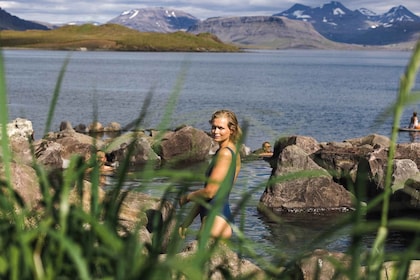 Reykjavik: Hvalfjordur & Hvammsvik Hot Springs Private Tour