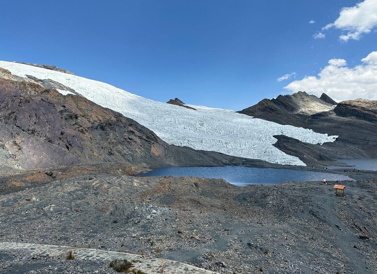 Picture 3 for Activity From Huaraz: Tour to the Pastoruri Glacier and Puya Raimondi