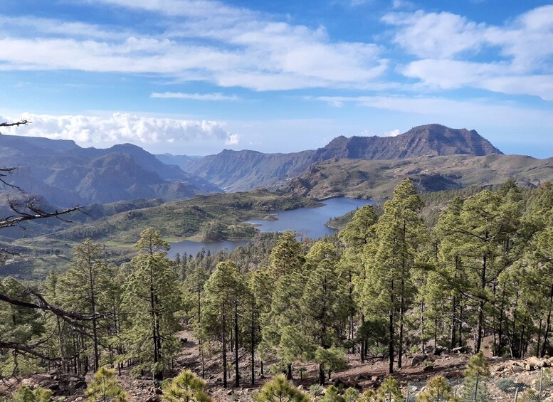 Picture 9 for Activity Gran Canaria: Full-Day Guided Hiking With Snacks