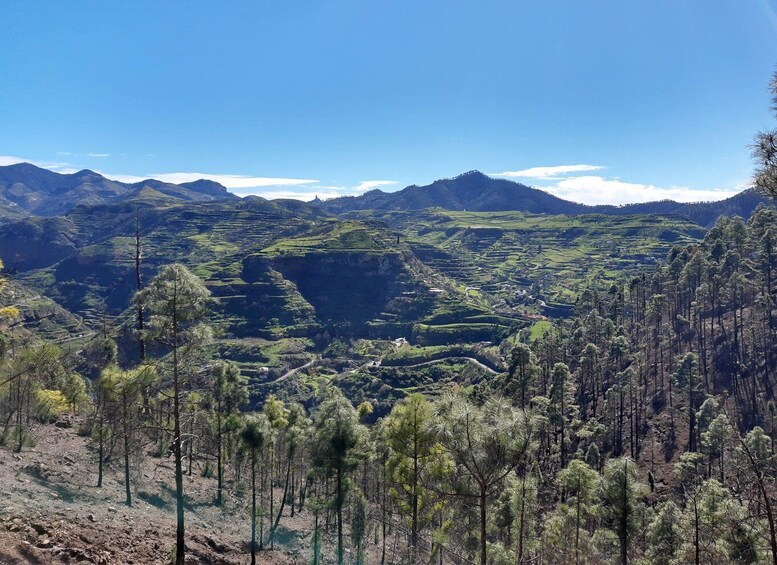 Picture 8 for Activity Gran Canaria: Full-Day Guided Hiking With Snacks