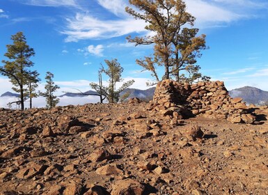 Gran Canaria: Ganztägige geführte Wanderung mit Snacks