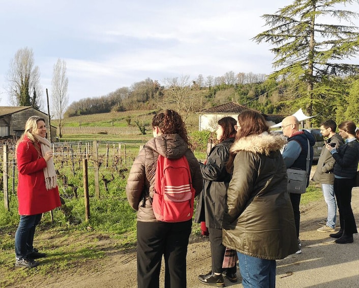 Picture 1 for Activity From Bordeaux: Saint-Émilion Half-Day Tour with Wine Tasting