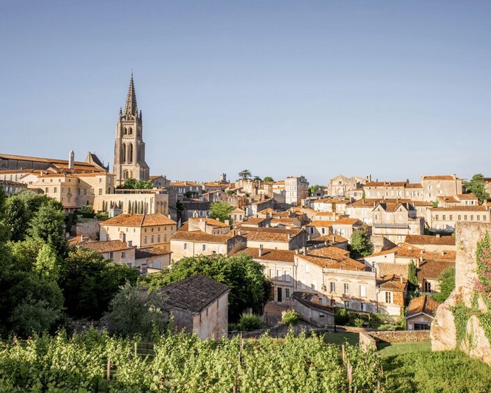 From Bordeaux: Saint-Émilion Half-Day Tour with Wine Tasting