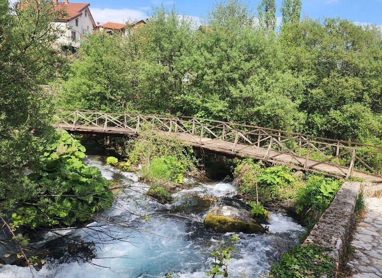 Picture 7 for Activity Ohrid & Traditional Village: Private Tour from Tirana/Durres