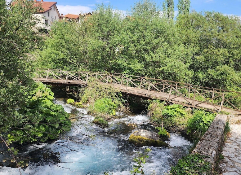 Picture 7 for Activity Ohrid & Traditional Village: Private Tour from Tirana/Durres