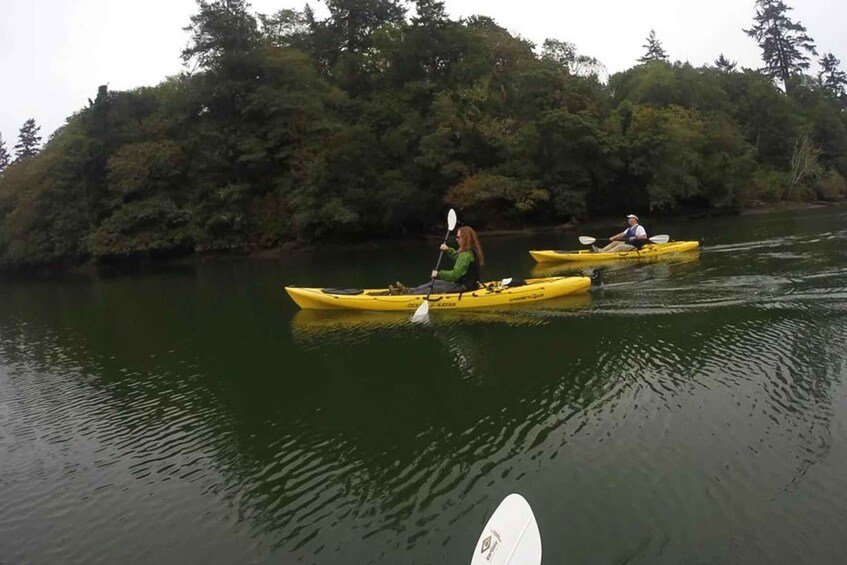 Picture 2 for Activity Brookings: Pacific Ocean Kayak Tour