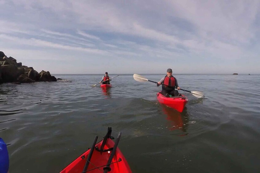 Picture 1 for Activity Brookings: Pacific Ocean Kayak Tour