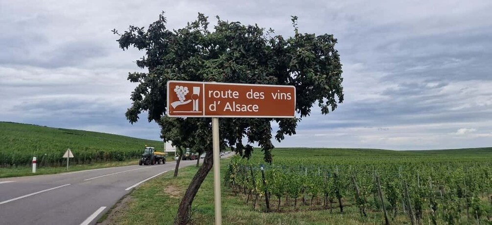 Picture 4 for Activity Alsace: The Legendary Wine Road Tour with Tasting and Lunch