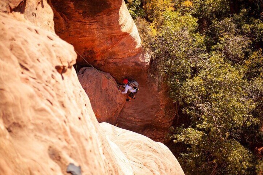 Half Day Private Rock Climbing Experience in La Verkin