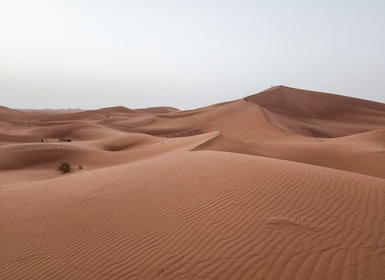 5 Day Excursion from Marrakech to the Sahara Desert