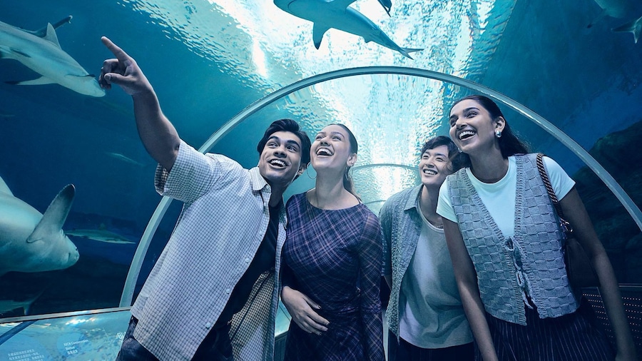 Singapore: Singapore Oceanarium Entrance E-Ticket