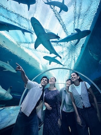 Singapore: Singapore Oceanarium Entrance E-Ticket