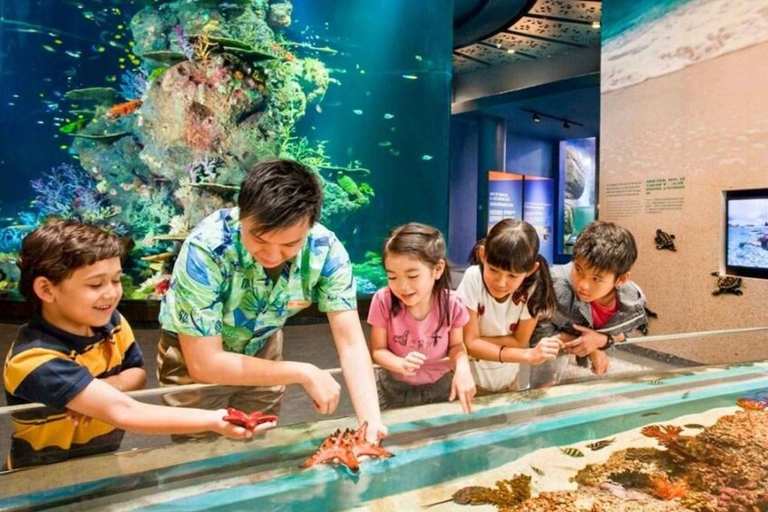 Picture 3 for Activity Singapore: S.E.A. Aquarium Entrance E-Ticket