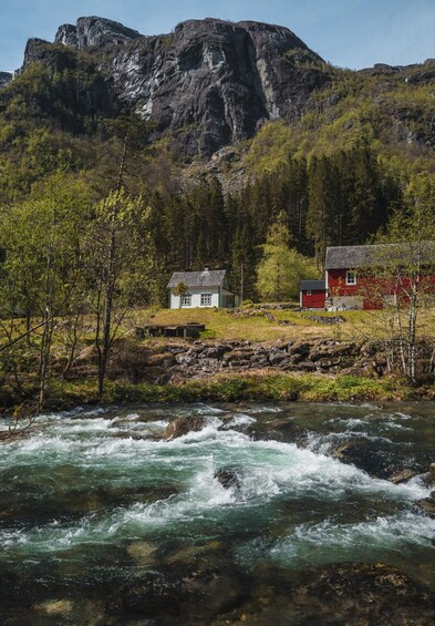 Picture 5 for Activity Øystese: Private RIB fjord tour & secluded viewpoint hike