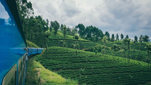 Kandy to Ella Special First Class Celebration Ticket