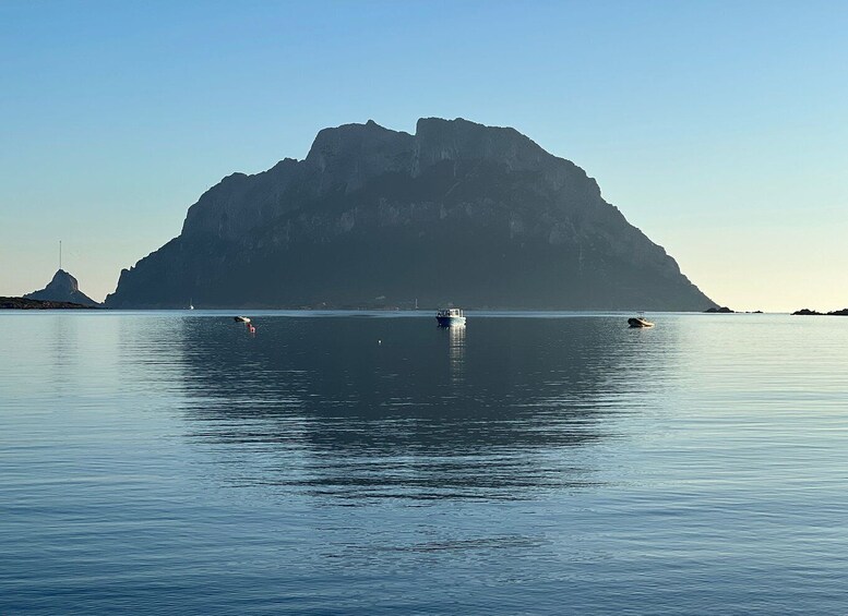 Picture 6 for Activity Olbia: Diving in Tavolara Marine Park in Sardinia
