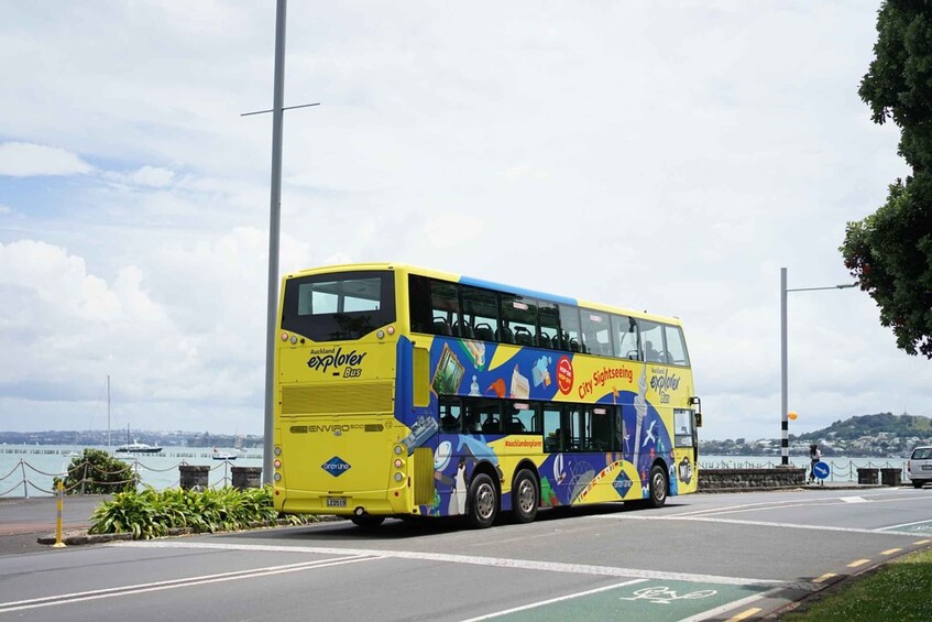 Picture 8 for Activity Auckland: Hop-On Hop-Off Explorer Bus Ticket