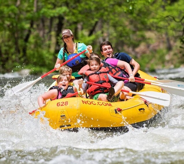 Bryson City: Nantahala River Guided Whitewater Rafting Trip