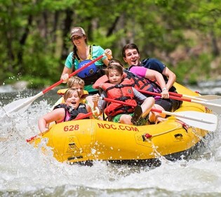 Bryson City: viaje guiado de rafting en aguas bravas por el río Nantahala