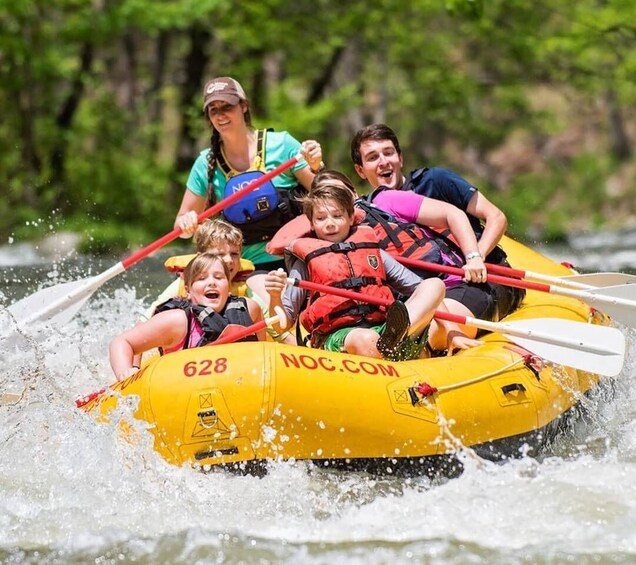 Bryson City: Nantahala River Guided Whitewater Rafting Trip