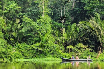 Canal Tour in Tortuguero National Park