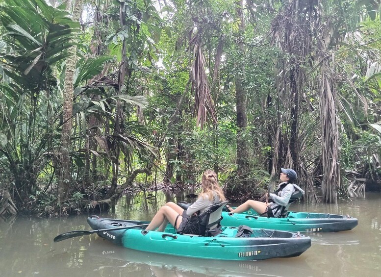 Picture 6 for Activity Canal Tour in Tortuguero National Park