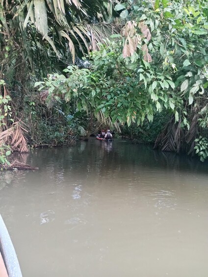 Picture 9 for Activity Canal Tour in Tortuguero National Park