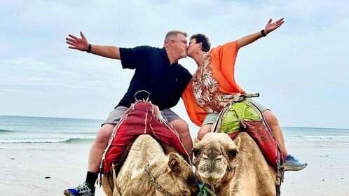 Tangier Private Tour + Camel Ride + Add-on: Moroccan Lunch