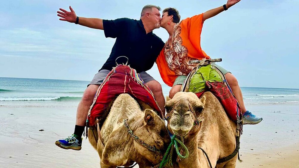 Tangier Day Tour: Private Tour with Camel Ride + Lunch