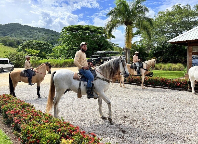 Picture 2 for Activity Soar on the Fastest and Longest Zip Line in Punta Cana