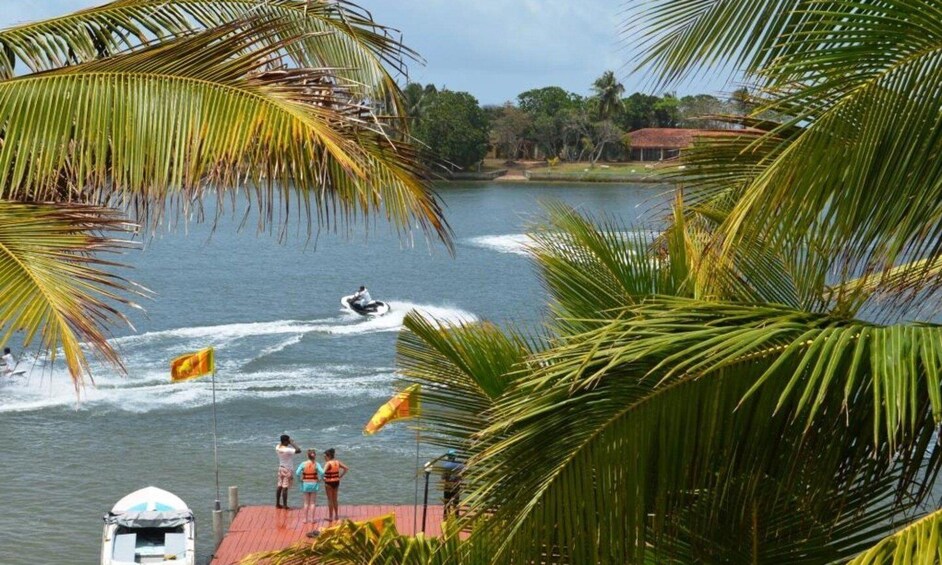 Picture 6 for Activity From Kalutara: Bentota Day Tour and Hikkaduwa Beach Tour