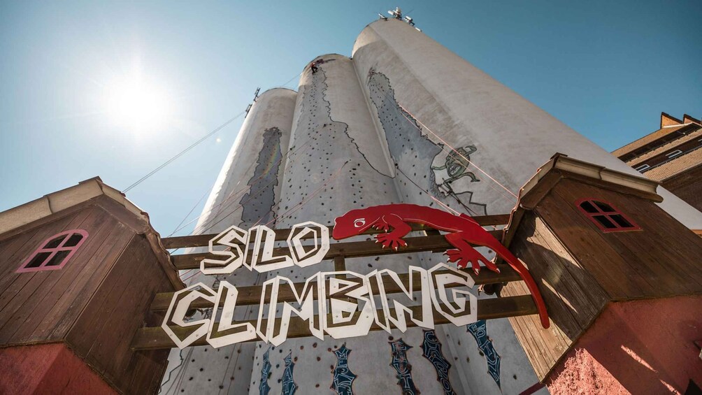 Climbing on Fehmarn: Unique experience for kids & adults!