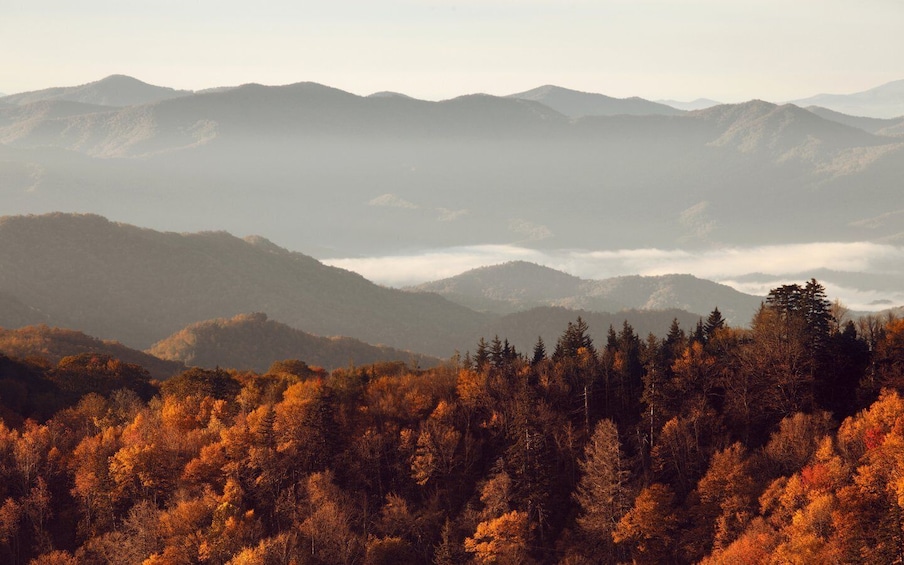Great Smoky Mountains National Park: Self-Guided GPS Tour