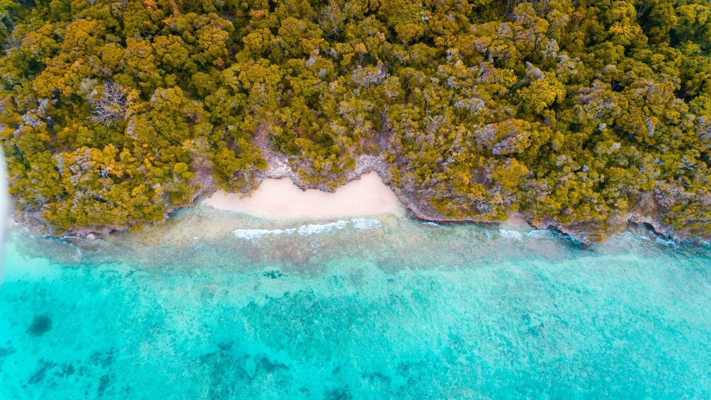 Picture 1 for Activity Zanzibar: Pungume Sandbank Sailboat Tour with BBQ Lunch