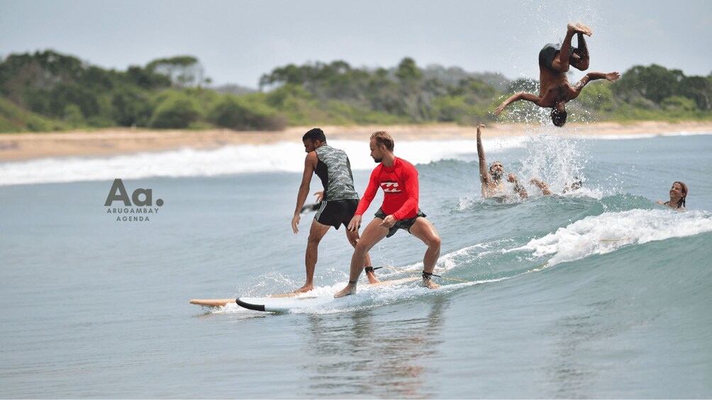 WaveRise: Beginner Surf Experience - Surf Lesson