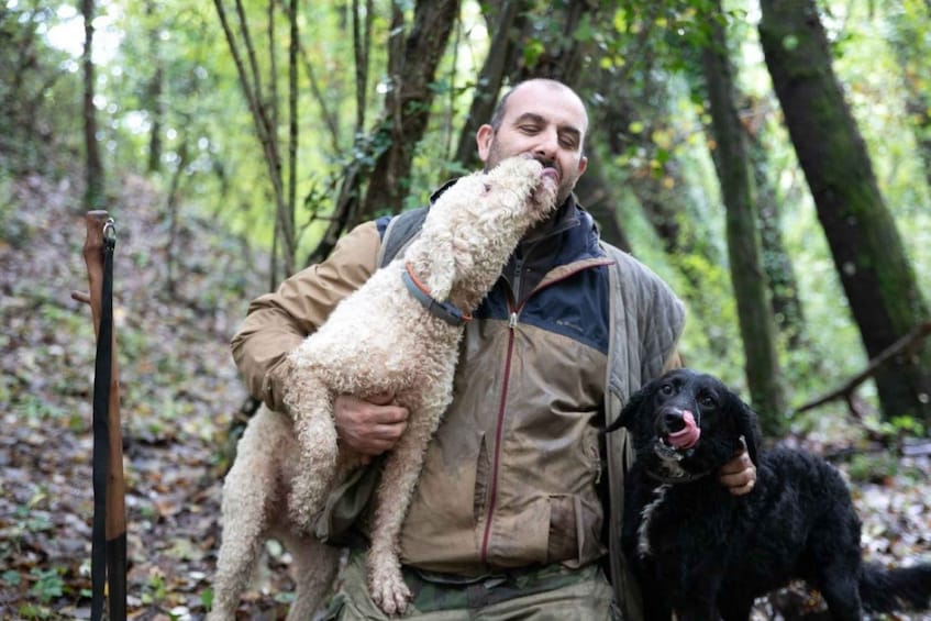 Picture 3 for Activity Siena - Truffle hunting in the evocative Sienese woods