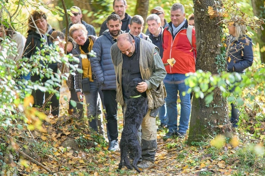 Picture 7 for Activity Siena - Truffle hunting in the evocative Sienese woods