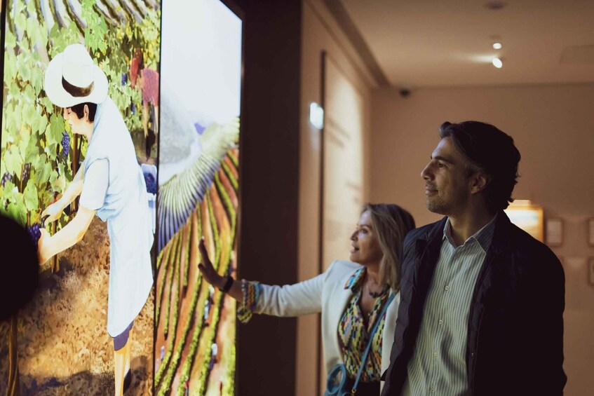 Picture 2 for Activity Porto: Fonseca Cellar Tour + The Wine Experience Pack