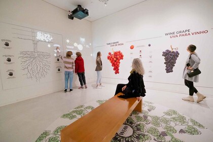 Oporto: Bodega Fonseca y Experiencia del Vino WOW