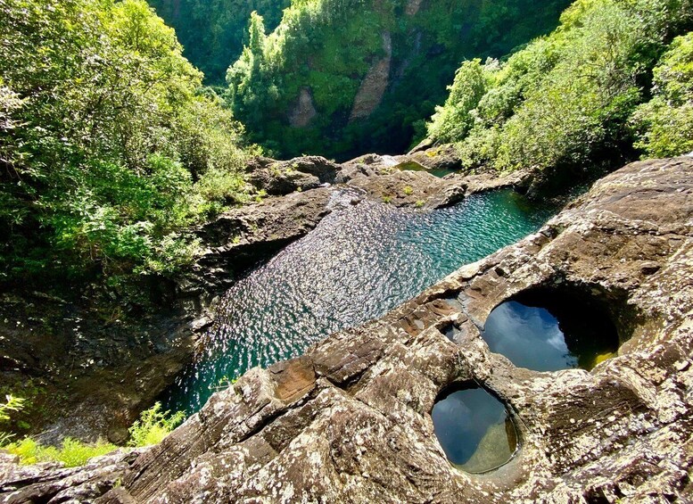 Picture 4 for Activity From Quatre Cocos: Tamarind Falls Hiking Day Trip