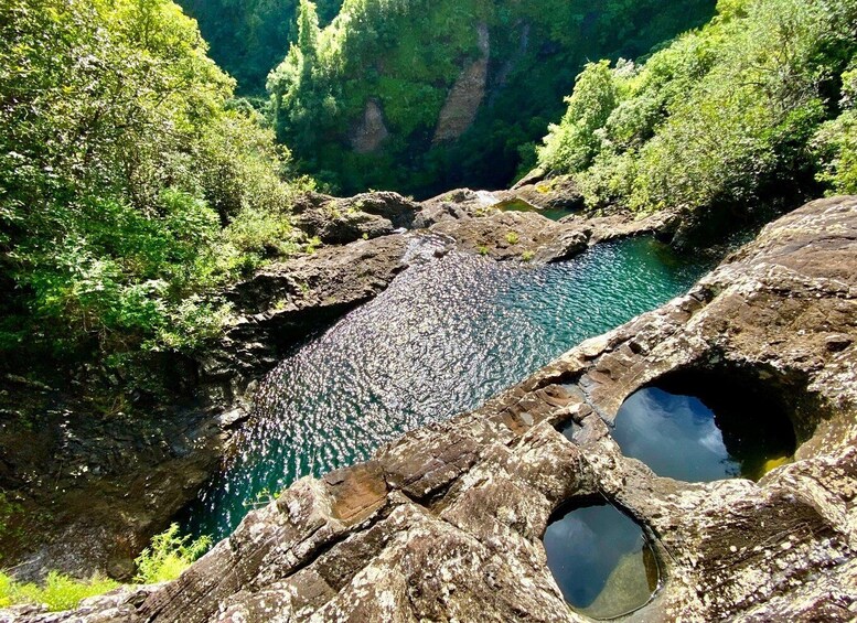 Picture 4 for Activity From Quatre Cocos: Tamarind Falls Hiking Day Trip