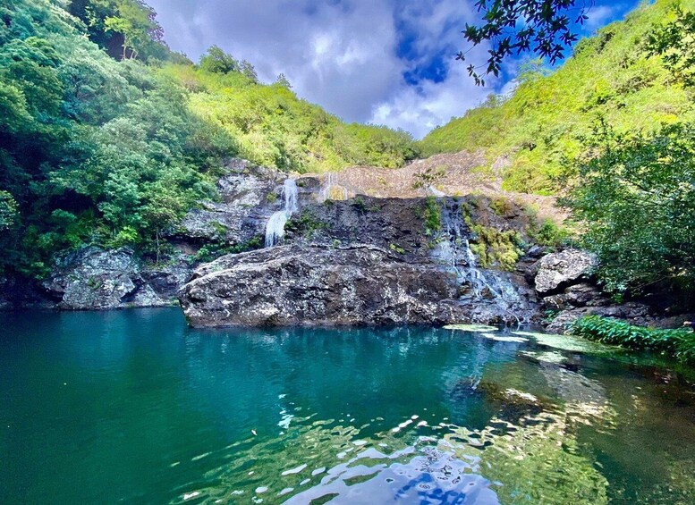 From Quatre Cocos: Tamarind Falls Hiking Day Trip